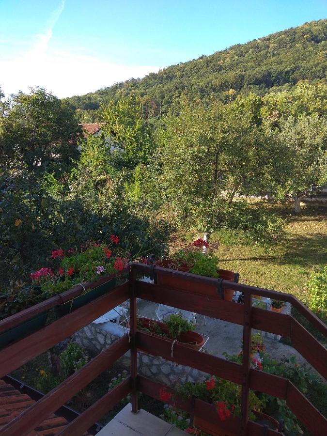 Apartman U Bukovickoj Banji Arandelovac Buitenkant foto